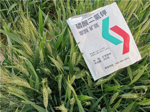 水溶肥，拉姆拉，翠姆