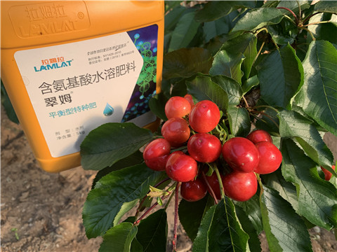 水溶肥，拉姆拉，翠姆