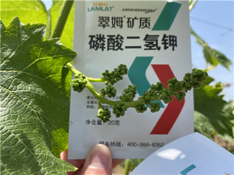 磷酸二氫鉀，拉姆拉，翠姆