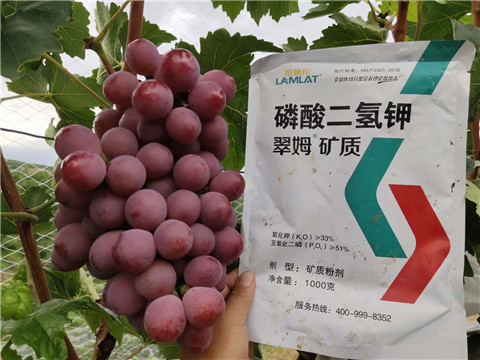 磷酸二氫鉀，拉姆拉，翠姆