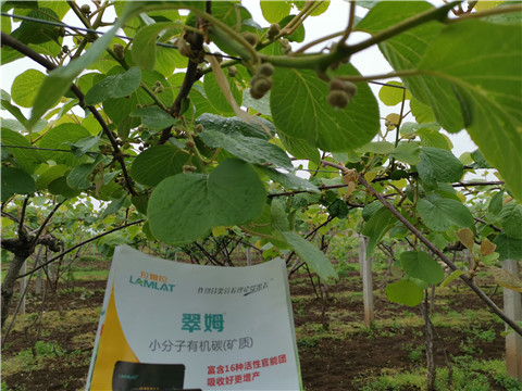 小分子有機(jī)碳，拉姆拉，翠姆