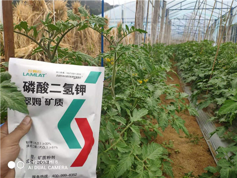 磷酸二氫鉀，拉姆拉，翠姆