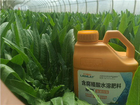 沖施肥，拉姆拉，翠姆