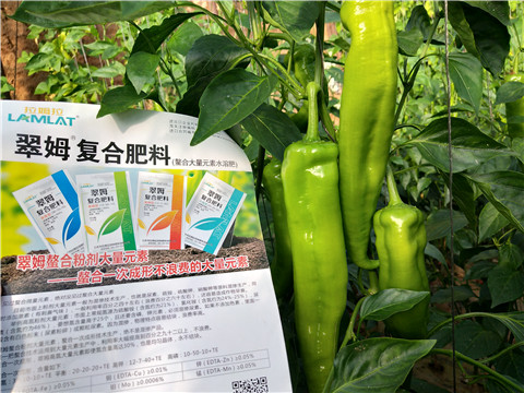 辣椒，拉姆拉，翠姆
