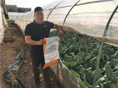 大量元素水溶肥，拉姆拉，翠姆