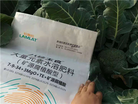 大量元素水溶肥，拉姆拉，翠姆