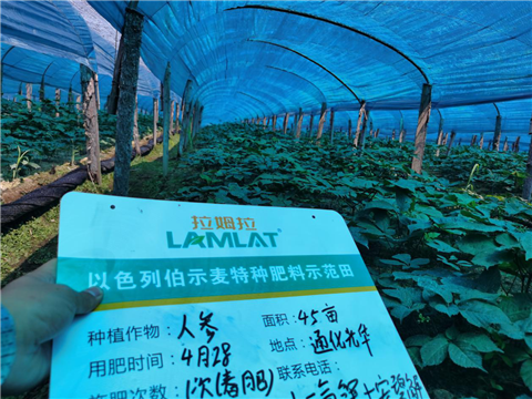 水溶肥，拉姆拉，翠姆