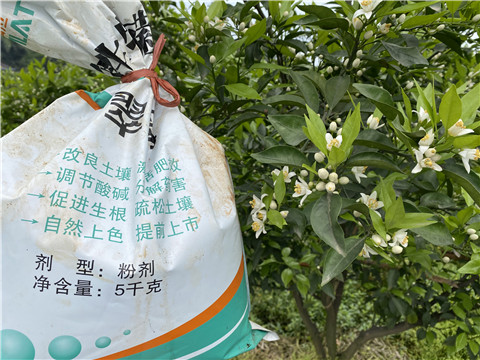 水溶肥，翠姆，拉姆拉