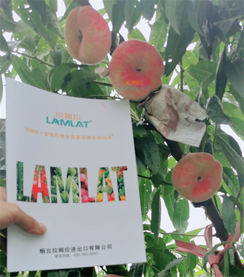 水溶肥，翠姆，拉姆拉