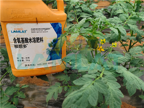 水溶肥，翠姆，拉姆拉