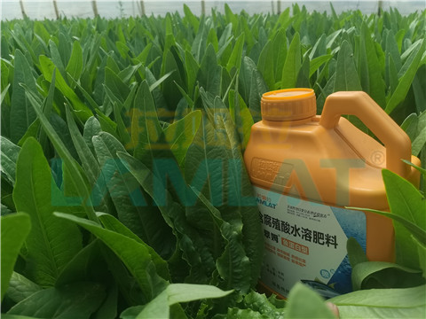 水溶肥，翠姆，拉姆拉