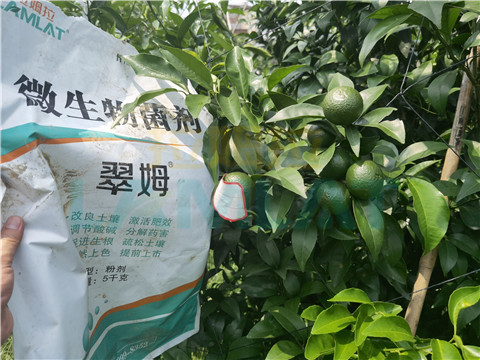 微生物菌劑，翠姆，拉姆拉