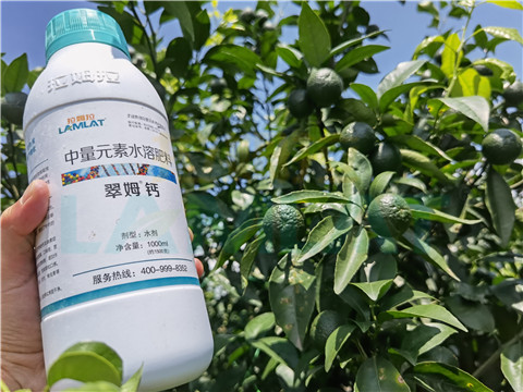 水溶肥，拉姆拉，翠姆