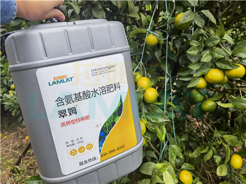 水溶肥，拉姆拉，翠姆