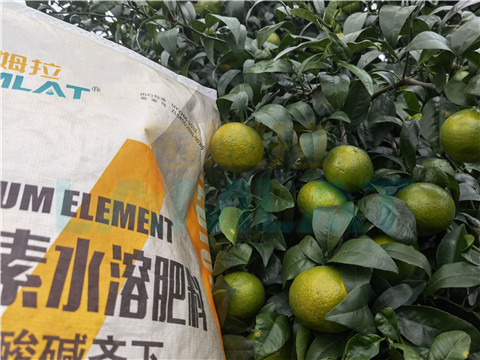 水溶肥，拉姆拉，翠姆