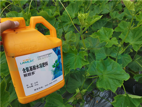 水溶肥，拉姆拉，翠姆