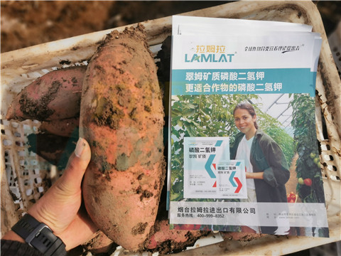 水溶肥，拉姆拉，翠姆