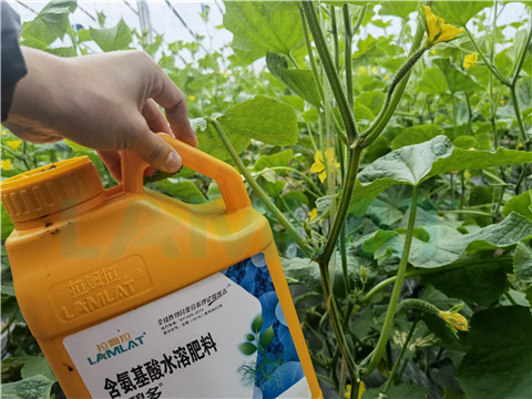 生根劑，拉姆拉，翠姆