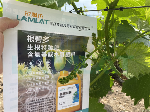 水溶肥，拉姆拉，翠姆