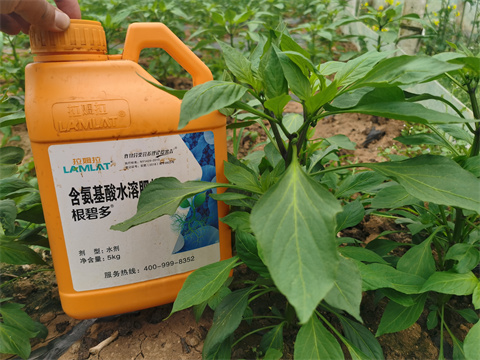 水溶肥，翠姆，拉姆拉