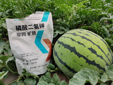 水溶肥，翠姆，拉姆拉